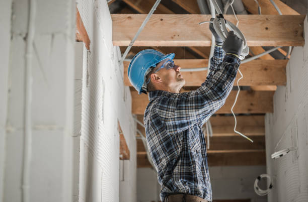 Best Electric Panel Repair  in Dexter, NM