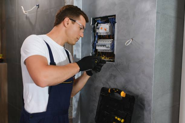 Best Electric Panel Repair  in Dexter, NM