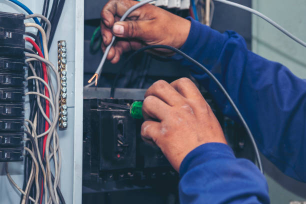 Best Electrical System Inspection  in Dexter, NM